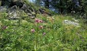 Trail On foot Tende - Circuit de Fontanalbe - Photo 8