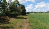 Trail Walking Saint-André-de-Cubzac - Boucle St André  - Photo 13