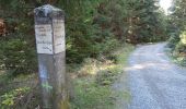 Trail On foot Wernigerode - HK 9: Clausthal - Sonnenberg - Brocken - Ilsenburg - Photo 7