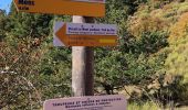 Trail Walking Mons - Le Lachens depuis Mons - Photo 10