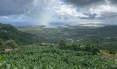 Excursión Marcha nórdica Le Vauclin - La boucle de la montagne du Vauclin - Photo 2