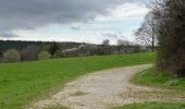 Tocht Stappen Monschau - Höfen variante narcisses 15,3 km - Photo 2