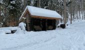 Tocht Stappen Wihr-au-Val - Marche dans la neige - Photo 2
