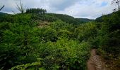 Excursión Senderismo La Roche-en-Ardenne - Balade à Maboge - La Roche en Ardennes - Photo 4