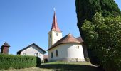 Tour Zu Fuß Taufkirchen an der Pram - Kirchensteig Laufenbach-Maad - Photo 5