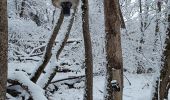 Tocht Stappen Les Deux Alpes - Le Garcin- Deux Alpes - Photo 2