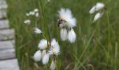 Tour Wandern Villanders - Villanderer Alm - Stöfflhütte et prairies marécageuses - Photo 12