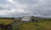 Trail Walking Anglards-de-Salers - Chemin des estives - Photo 12