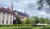 Tour Wandern Molsheim - Randonnée l'après-midi - Photo 1