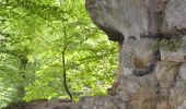 Tour Zu Fuß Waldbillig - mullerthal-2- 9.7 km  (102) - Photo 2