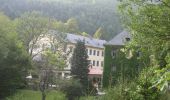 Trail On foot Gemeinde Reichenau an der Rax - Schneedörfl - Waldburgangerhütte - Photo 2