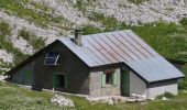 Excursión Senderismo Châtillon-en-Diois - Vallon de Combau - Pas de l'Aiguille - Photo 14