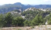 Tocht Stappen Ollioules - Château Vallon  - Photo 8