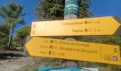 Tour Wandern Peyruis - PEYRUIS . CIRCUIT DE LA REPENTANCE  O L M - Photo 7