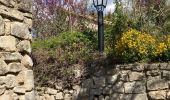 Tour Wandern Les Baux-de-Provence - Huilerie, Vin, les baux de Provence, avec Château - Photo 11