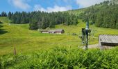 Trail Walking Soultzeren - Rando des APAVIENS..28/06/2024 - Photo 11