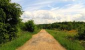 Tocht Stappen Coyolles - en forêt de Retz_78_les rayons du Rond Capitaine - Photo 18