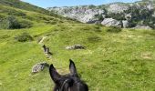 Trail Horseback riding Accous - Lhers - Puenta de Santa Ana - Photo 16