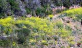 Trail Walking Bormes-les-Mimosas - Les vallons de Valcros - Photo 4