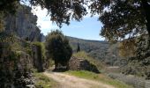 Tour Wandern Fontaine-de-Vaucluse -  Boucle Fontaine, St Gens - Photo 7