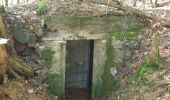 Trail Walking Grandfontaine - Positions fortifiées du Donon sentier des casemates - nord - Photo 7