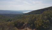 Randonnée Marche La Ciotat - falaise souberanes  - Photo 4