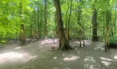 Trail Walking Canteleu - Forêt monumentale - Photo 6
