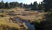 Randonnée Marche Chamrousse - lac affray - Photo 4