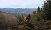 Trail Walking Masevaux-Niederbruck - Bruckenwald 2 - Photo 9