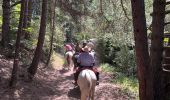 Trail Horseback riding Canfranc - Gavarnie étape 1 - Photo 16