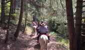 Tour Reiten Canfranc - Gavarnie étape 1 - Photo 16