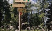 Trail Walking Chamonix-Mont-Blanc - Argentieres(aire de jeu) - Photo 2