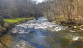 Tour Wandern Gedinne - Balade de Vencimont à Sart-Custine - Photo 9