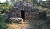 Tour Wandern Conques-sur-Orbiel - Mur_aribaud_capitelles_réel - Photo 10