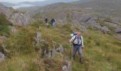 Excursión Senderismo West Cork - Hungry Hill - Photo 11