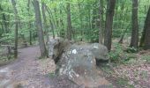 Trail Walking Ballancourt-sur-Essonne - balançoire 1-15 mai 2023  - Photo 3