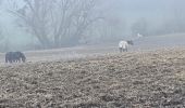 Randonnée Marche Bouxières-aux-Chênes - Amance blanzey boucles des amance - Photo 2