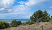 Tour Wandern Leucate - leucate-plateau_T - Photo 1