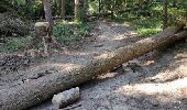 Randonnée Marche Annecy - A la découverte des Chalets de Barbenoire - Photo 8