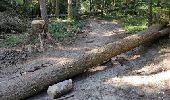 Tocht Stappen Annecy - A la découverte des Chalets de Barbenoire - Photo 8