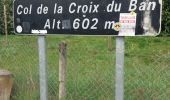 Trail Walking Pollionnay - pollionay col de la croix du ban - Photo 2