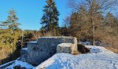 Percorso A piedi Gomadingen - Innerer Zugangsweg Schwäbischen Albvereins (gelbes Dreieck) - Photo 7