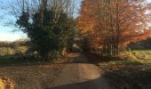 Trail Walking Hamoir - Hamoir adepstr - Photo 2