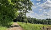 Tour Wandern Dinant - FOY GPX BERLAGE - Photo 16