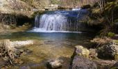 Excursión Senderismo Bonlieu - Le Hérisson Bonlieu - Photo 2