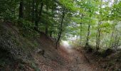 Percorso Marcia Court-Saint-Étienne - Promenade à La Roche et petit aller-retour vers le ruisseau - Photo 3