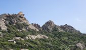 Randonnée Marche Sartène - Plages de Roccapina et d'Erbaju - Photo 14