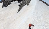 Randonnée Marche Ormont-Dessus - 2024-07-14 Marche Suisse Diablerets Sommet Glacier des Diablerets - Photo 7