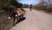 Trail Donkey back riding Livron-sur-Drôme - Abiche toundra - Photo 8