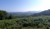 Trail Walking Sare - Les palombières - Photo 1